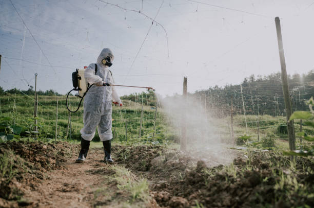 Best Ant Control Services  in Somerset, NJ