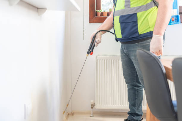 Best Wasp Removal Services  in Somerset, NJ