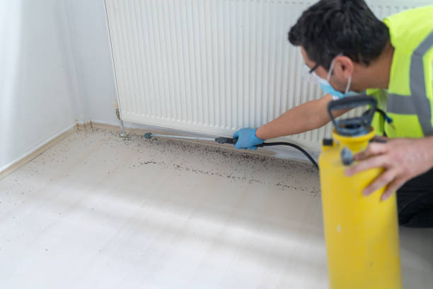 Best Bed Bug Extermination  in Somerset, NJ