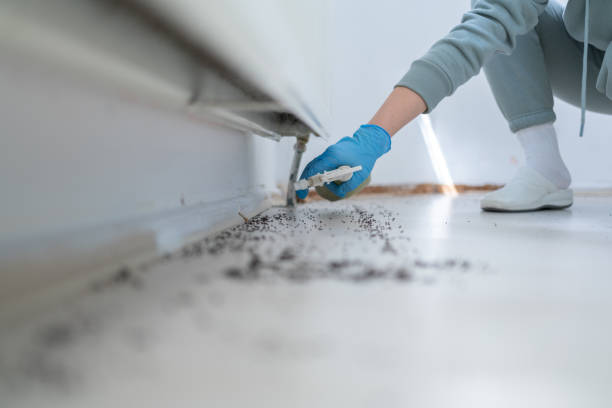 Professional Pest Control in Somerset, NJ